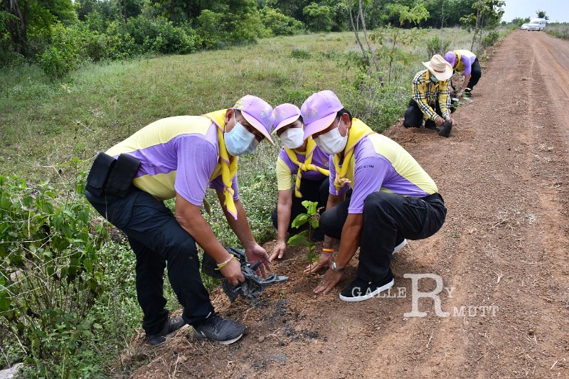 20210526-Tree planting dayt-187.JPG